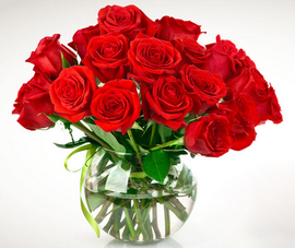 98566457967e02f44ed570c5e90edf1d_t0117cce4ba68933fa7_size=431x362.png