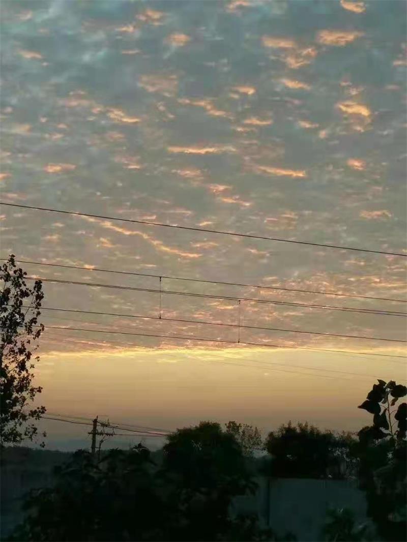 ΢��ͼƬ_20210412203732.jpg