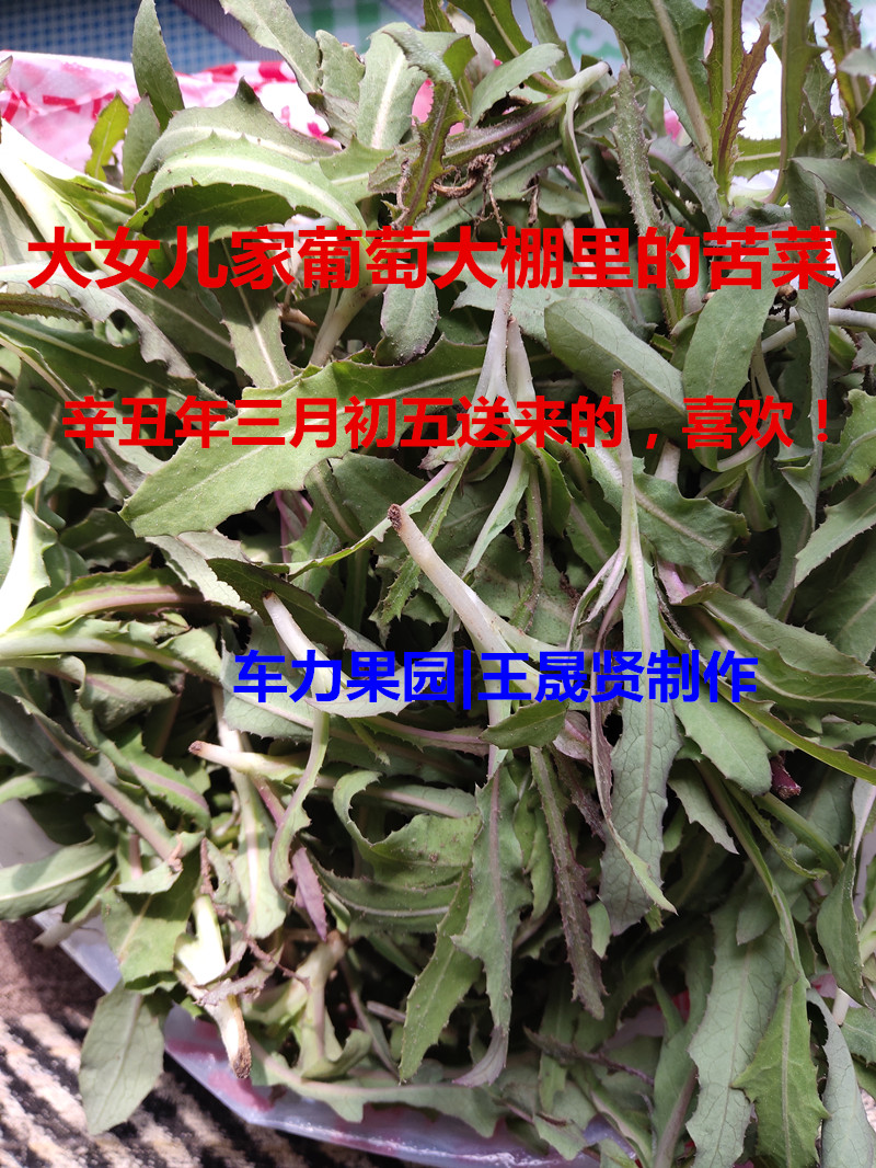 QQͼƬ20210416124740_����.jpg